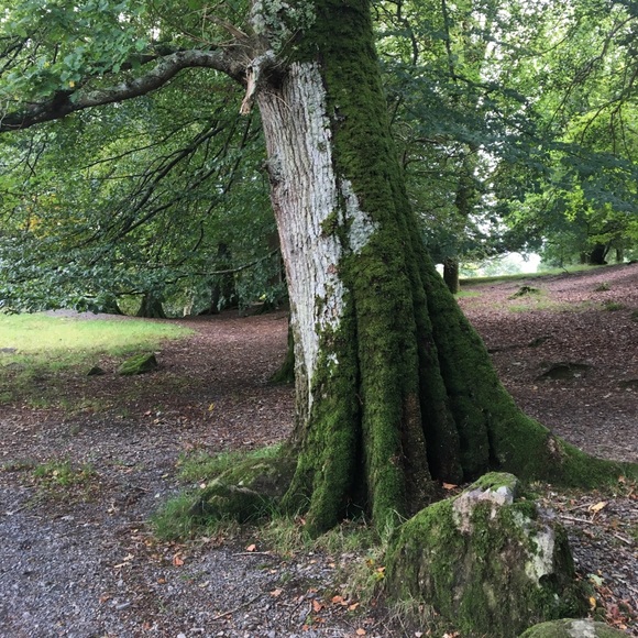 Meet your Posher, Bethanie - Picture 1 of 1